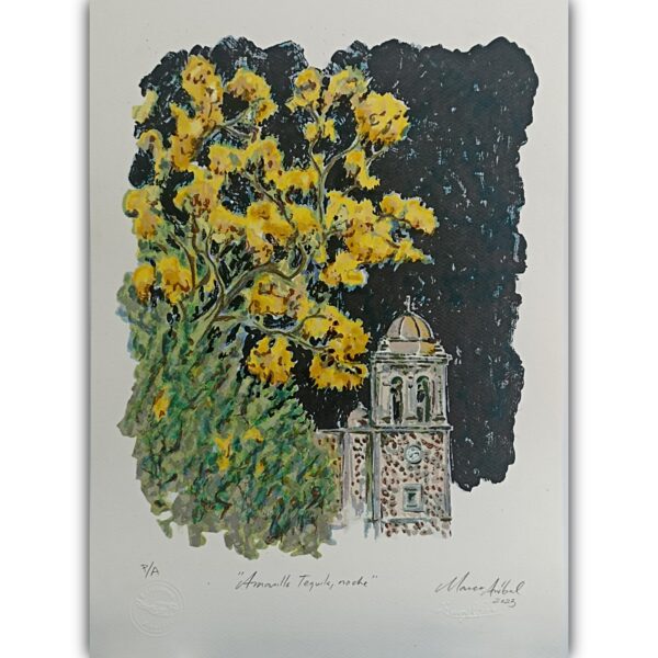 Amarillo Tequila - Nocturno